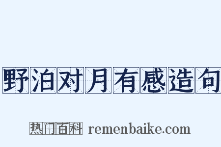 野泊对月有感造句是什么意思的图片